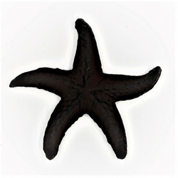 Starfish Decoration 