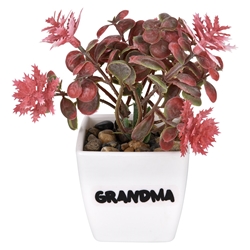 Grandma Potted Plant 