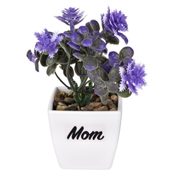 Mom Potted Plant 